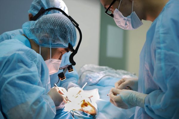 Z3668265798399_D5d17 (1)